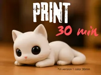 Petit chat mignon — photo 1