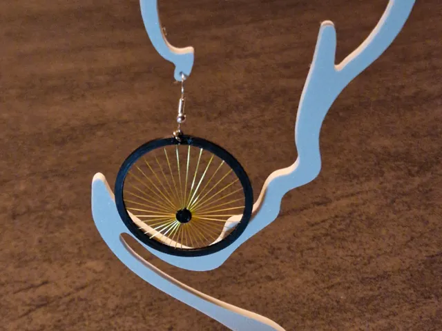 dual color spoked earrings