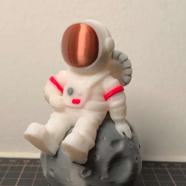 https://makerworld.bblmw.com/makerworld/model/US6e4cda2d233869/design/2023-12-13_1765c8d99d339.jpg