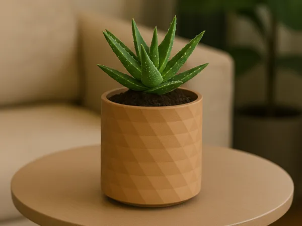 https://makerworld.bblmw.com/makerworld/model/US6e4de31c376bce/design/2025-09-29_1d869eb4595208.png