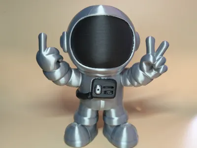 Space Buddy Mixed Signals 