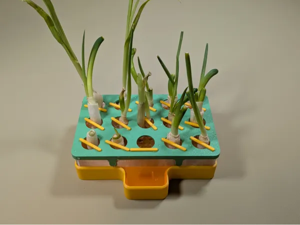 https://makerworld.bblmw.com/makerworld/model/US6e53c174bee351/design/2025-05-01_9aea6224fcce3.jpg