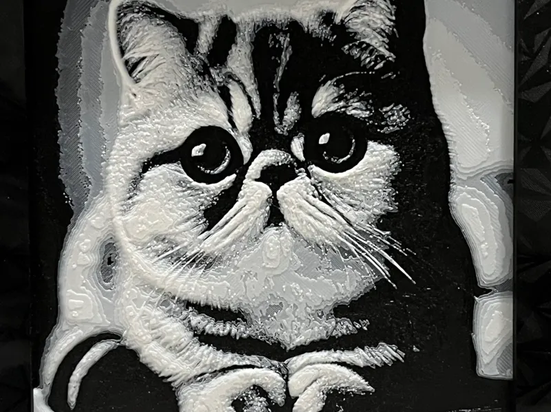 CAT EXOTIC SHORTHAIR HUEFORGE ANIMALS