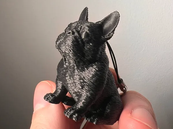 https://makerworld.bblmw.com/makerworld/model/US6e560d627adfcd/design/2025-11-09_f19076b618bc88.jpg