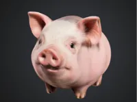 Petit cochon décoratif — photo 1
