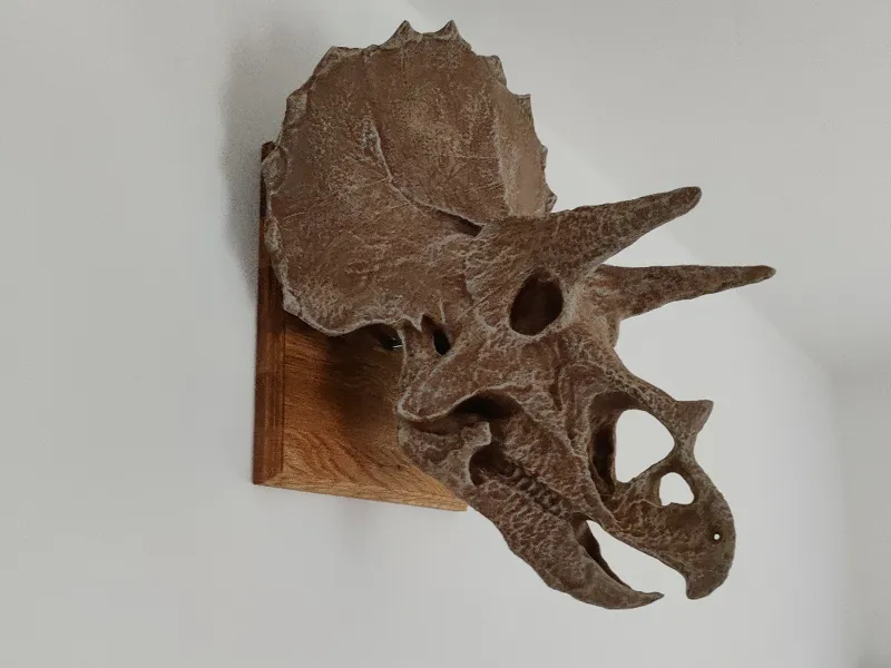 GIANT TRICERATOPS HEAD