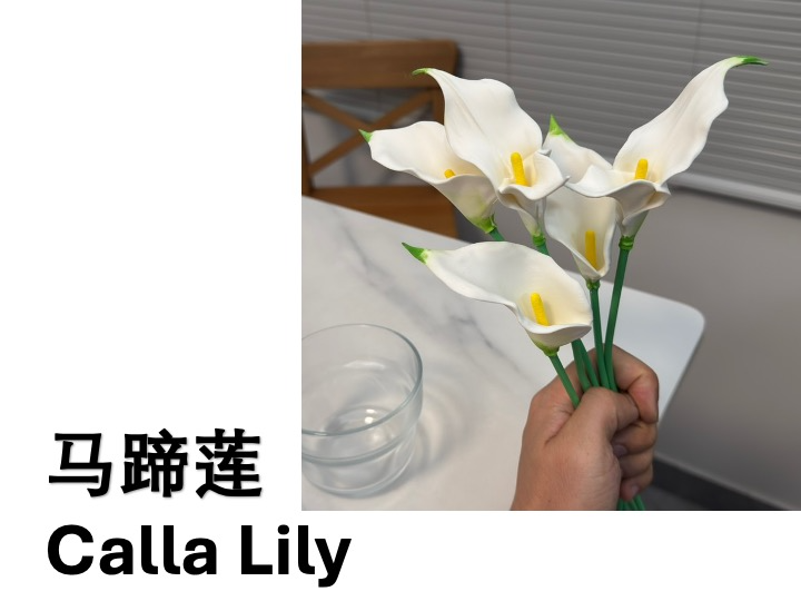 Miniatura 1 do modelo 3D 【拟真花卉-马蹄莲】（分件分色/少支撑设计/适配手涂）
