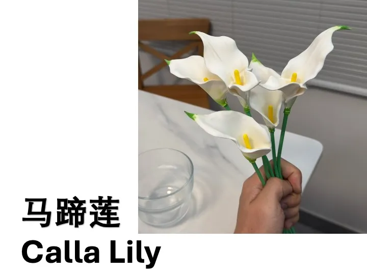 【拟真花卉-马蹄莲】（分件分色/少支撑设计/适配手涂）