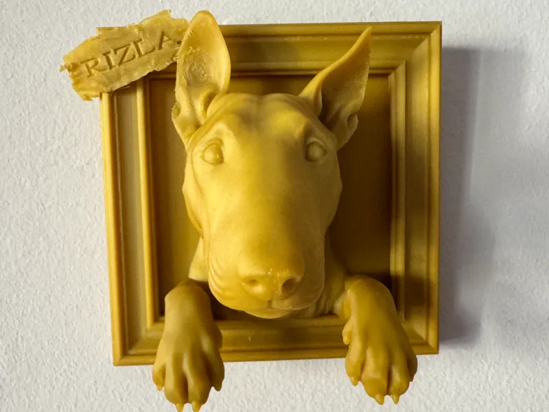 Quadretto Bull Terrier