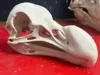 0.2mm layer, 3 walls, 5% infill