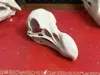A1 Mini 0.2mm layer, 3 walls, 5% infill