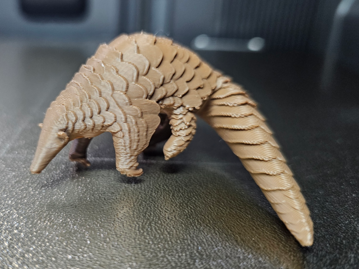Pangolin  Schuppentier 2 - Tiere aus aller Welt