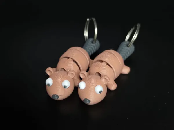 https://makerworld.bblmw.com/makerworld/model/US6e696c01e075a2/design/2024-10-16_409a34dee73f9.jpeg