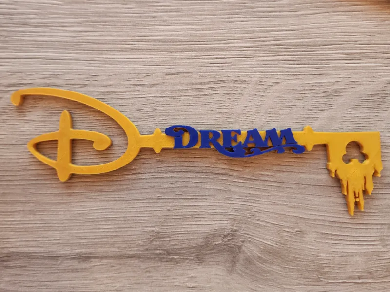 Disney Dream Magnet Key