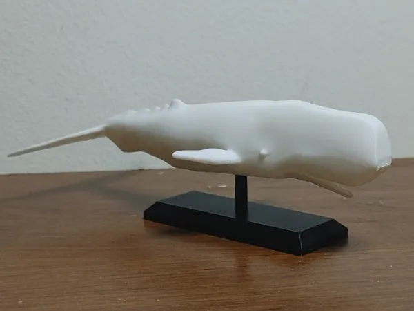 https://makerworld.bblmw.com/makerworld/model/US6e6fff5606f8e2/design/2025-06-08_b1a1e093b0968.jpg