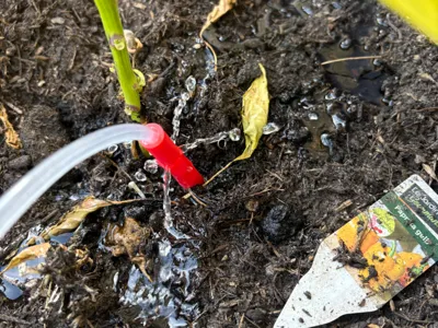 DIY Watering