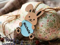 Male Bunny (without AMS with breaks)