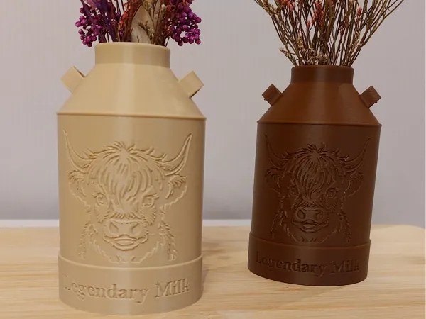 https://makerworld.bblmw.com/makerworld/model/US6e78189929c2dd/design/677339a327816a13.jpg