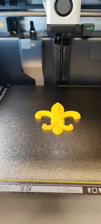 Fleur de lys — photo 2