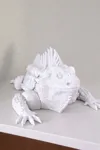speed clean