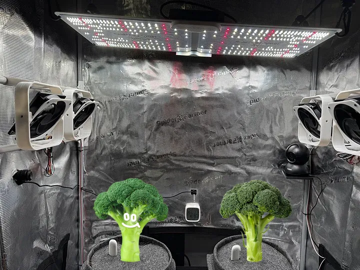 DIY Grow Fan / Fans 