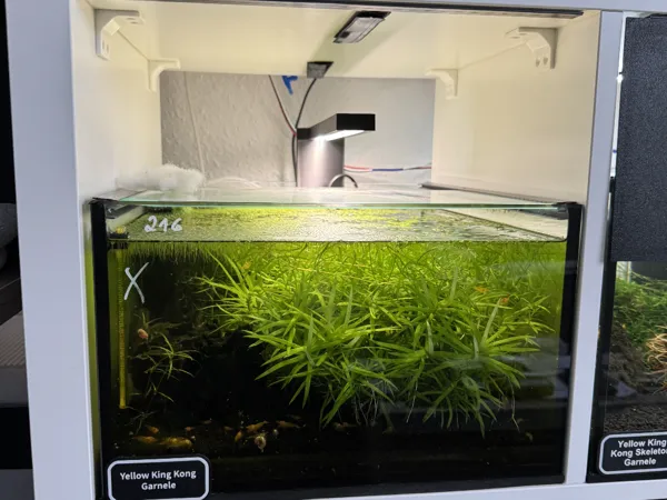 https://makerworld.bblmw.com/makerworld/model/US6e84568b96603f/design/2025-07-19_058dcd2cb81ef8.jpg