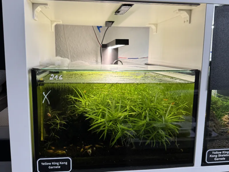 Kallax Aquarium LED Lampe 4mm