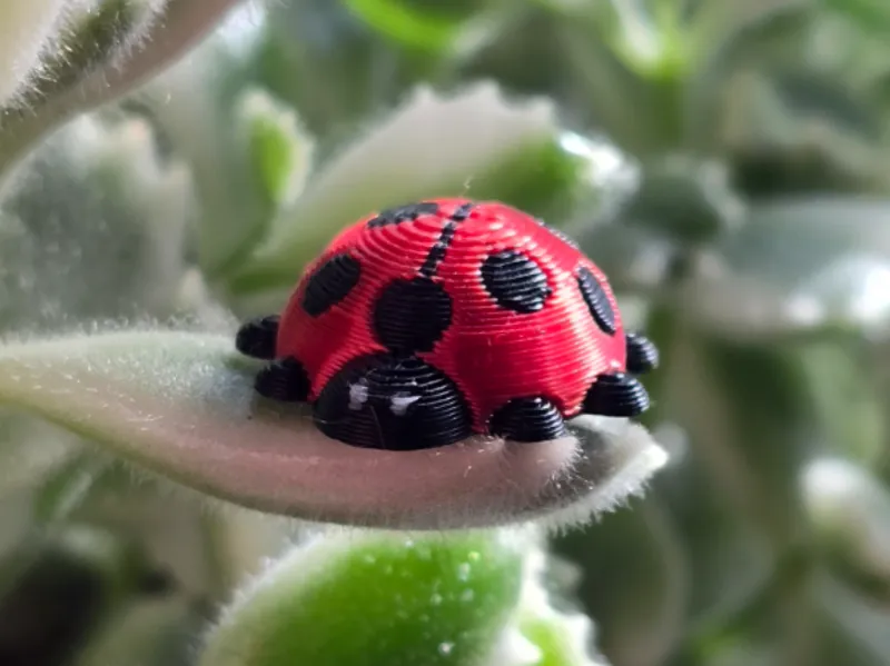 Ladybug Micro Print (AMS Required)