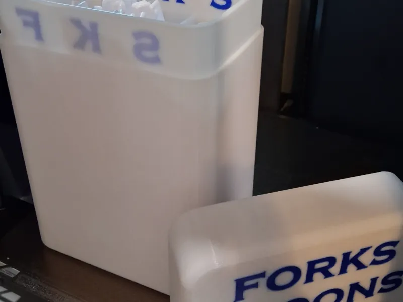 Plastic Silverware Case