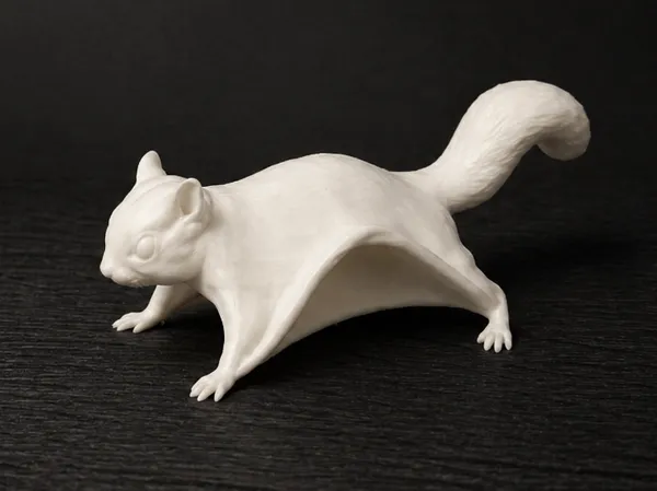 https://makerworld.bblmw.com/makerworld/model/US6e90f2e34bd2e9/design/1820ec9e5da2f3b1.png