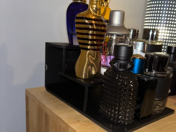 https://makerworld.bblmw.com/makerworld/model/US6e96bbb5c61bb/design/2025-01-31_19828aee94426.jpg