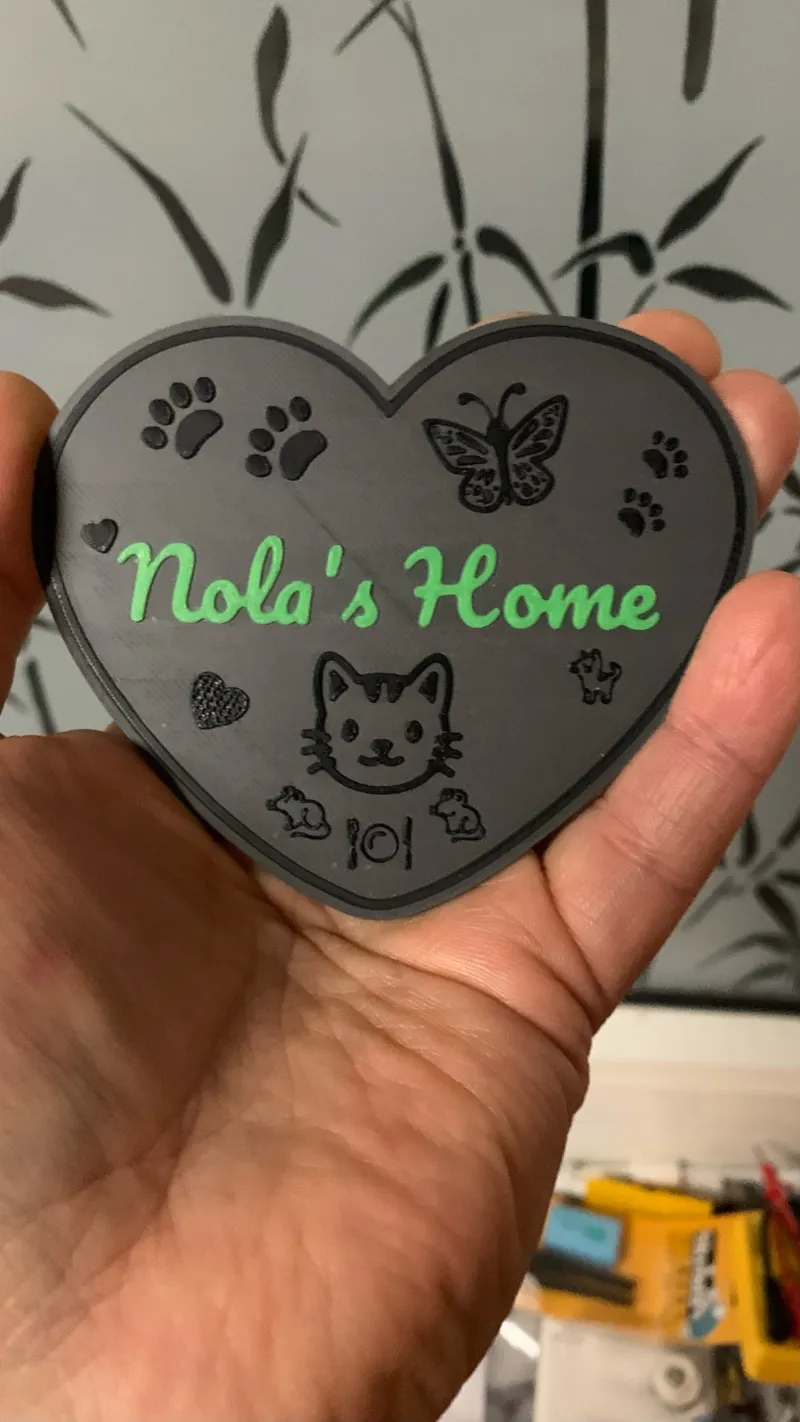 Cat's Home