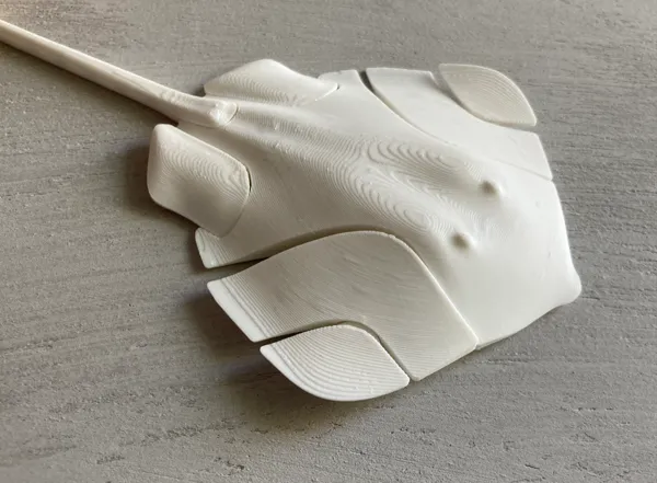 https://makerworld.bblmw.com/makerworld/model/US6ea54f0012a607/design/2024-05-01_c9c5f9be736788.jpg