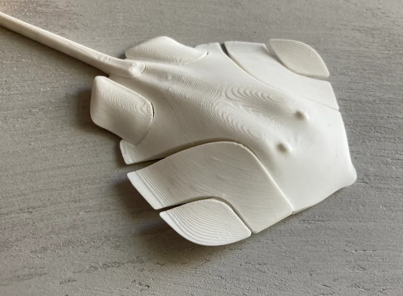 Articulated Stingray