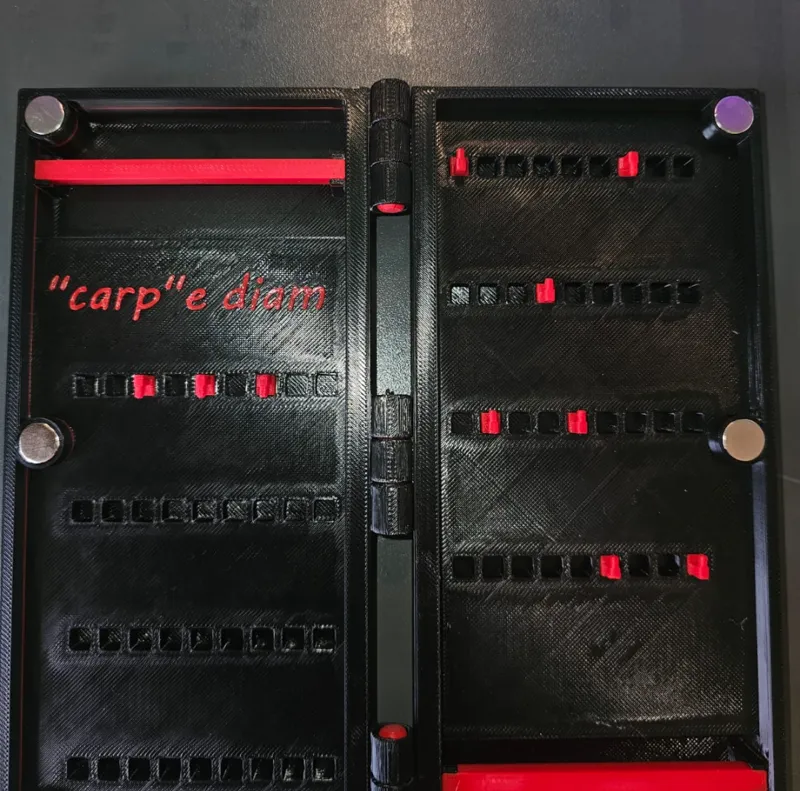 Carp rig Modular
