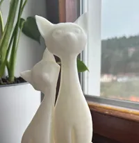 Chat — photo 1
