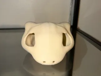 Mew Pokemon Skull