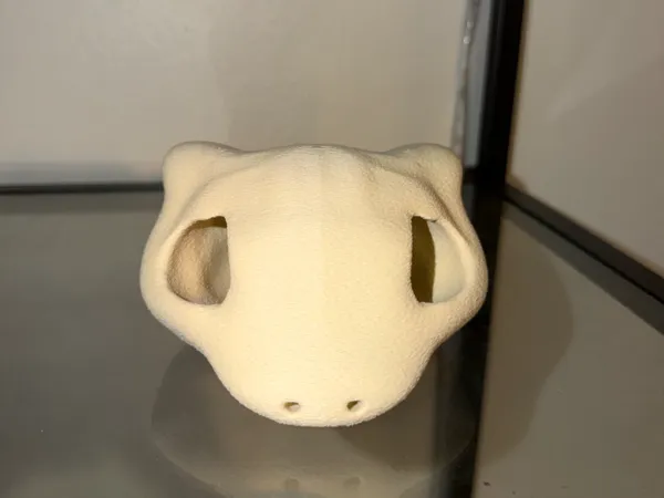 https://makerworld.bblmw.com/makerworld/model/US6eb7dc1fc8839b/design/2025-12-09_8dd49fa61cccc8.jpeg