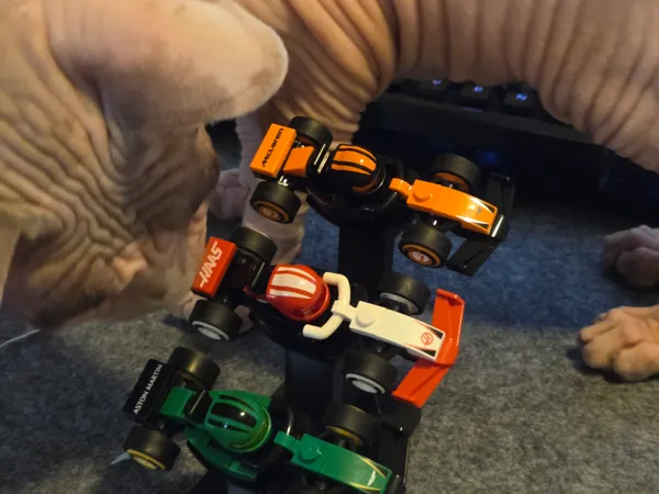 https://makerworld.bblmw.com/makerworld/model/US6eb83de8057d17/design/2025-05-19_cd1c0c179a8bf8.jpg