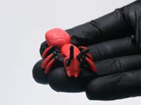 Ant Multicolor Print profile