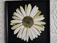 0.16mm layer, 1 walls, 15% infill frame + 100% infill daisy