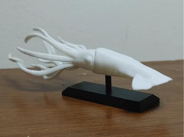 https://makerworld.bblmw.com/makerworld/model/US6ed16e56083739/design/2025-06-19_e4f11cdd5add28.jpg