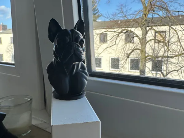 https://makerworld.bblmw.com/makerworld/model/US6ed1e36f963375/design/2025-02-23_602304162112e.jpg