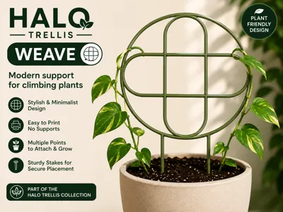 Halo Trellis – Weave