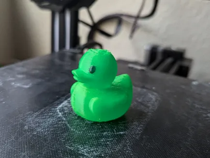 Duck