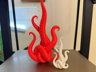 Tentacoli polpo intrecciati 