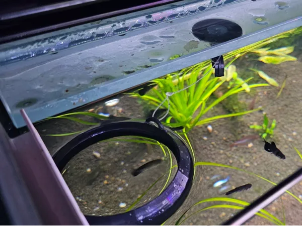 https://makerworld.bblmw.com/makerworld/model/US6ee1184c32f33d/design/2025-03-17_569aa8a0db774.jpg
