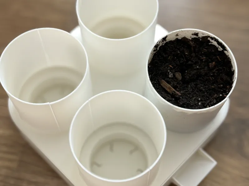 Self watering Seed starter