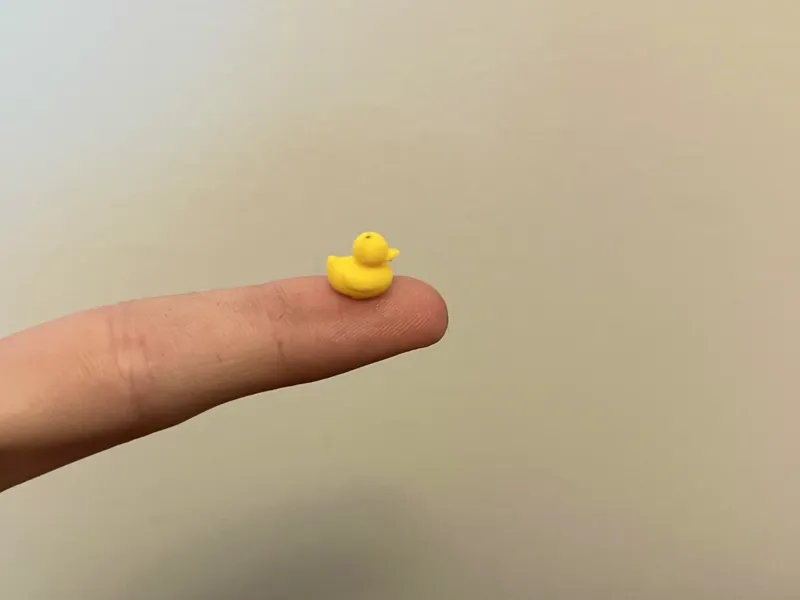 Worlds Smallest Rubber Duck 
