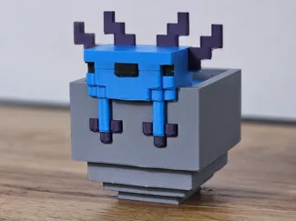 Minecraft Axolotl im Eimer